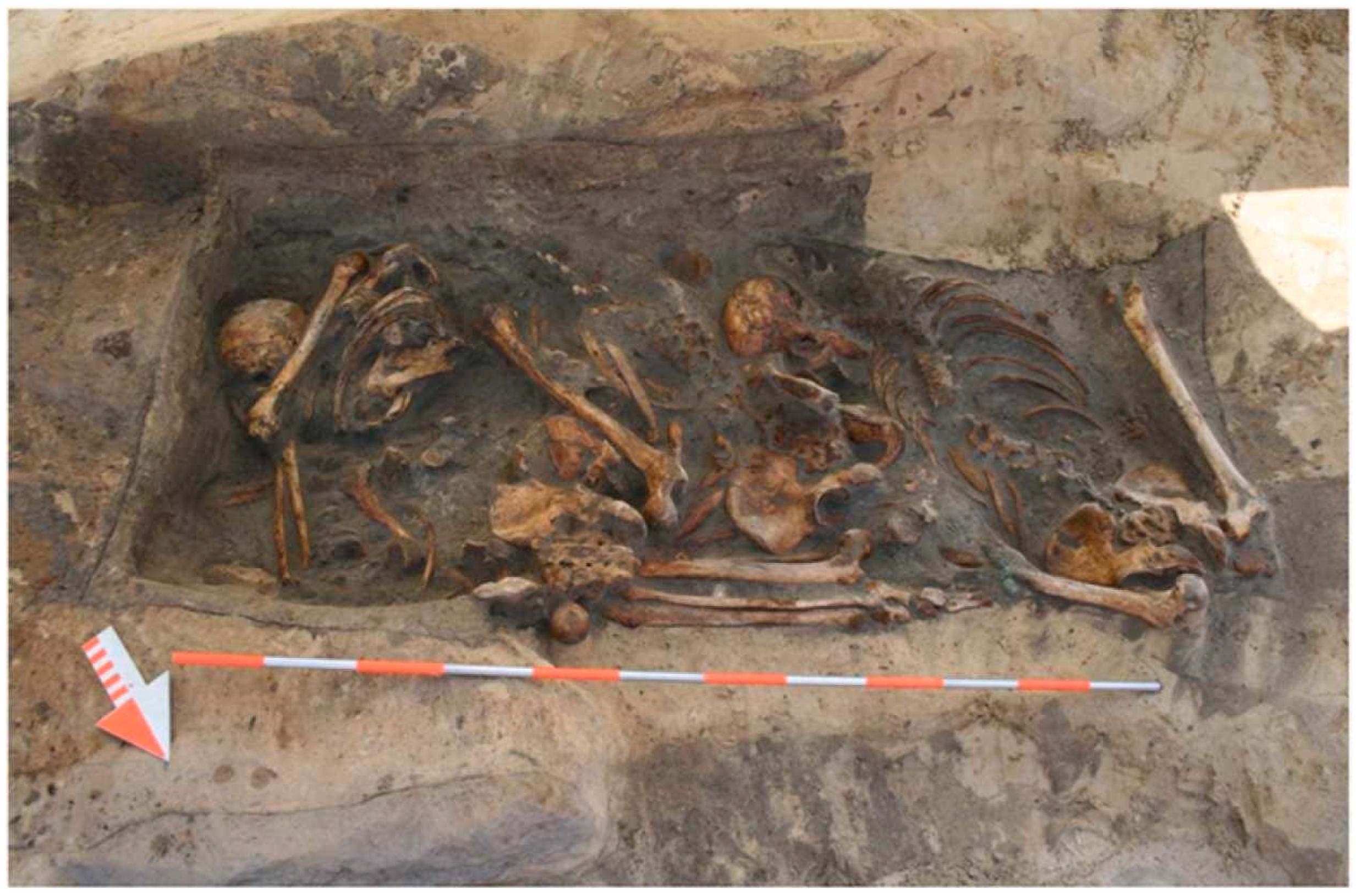 Genealogy | Free Full-Text | Family in Medieval Society: A ...